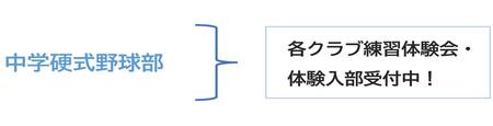 トップページバナー7：各部練習体験会