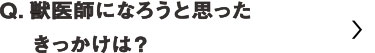 獣医師になろうと思ったきっかけは？