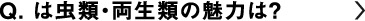 は虫類・両生類の魅力は？