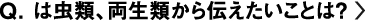 は虫類、両生類から伝えたいことは？